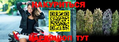 прущие крисы Будённовск