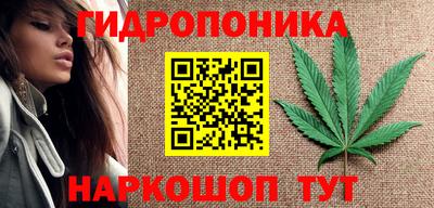 прущие крисы Будённовск