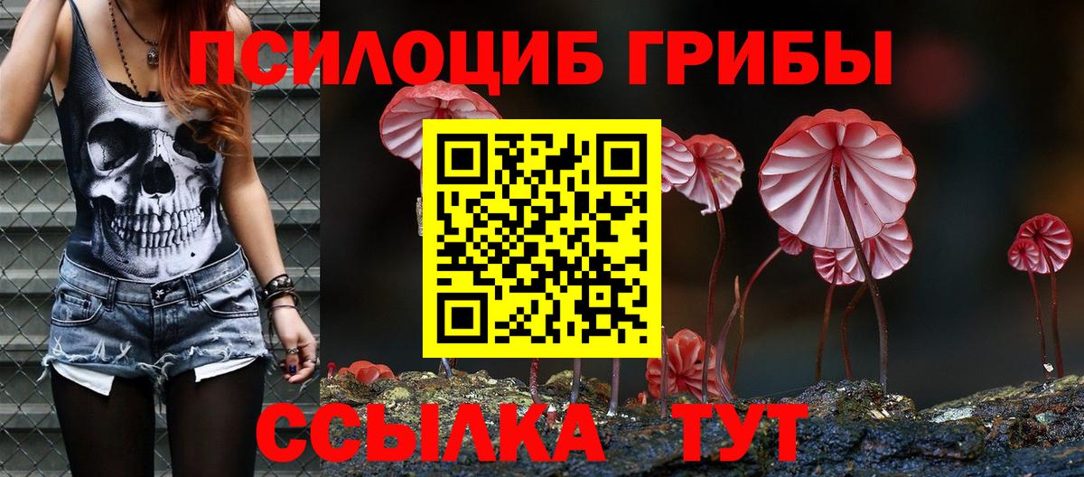 Псилоцибиновые грибы ЛСД Волжский