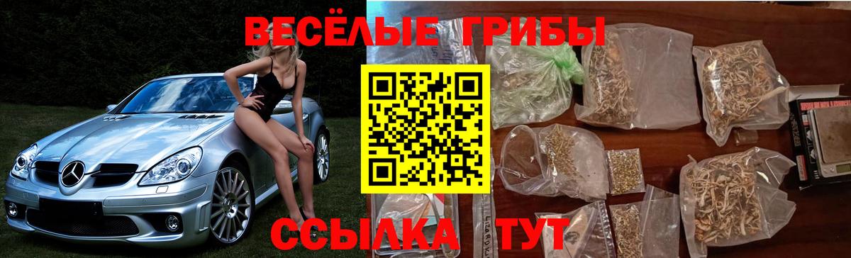 Волжский  Псилоцибиновые грибы Psilocybine cubensis  Псилоцибиновые грибы мицелий  Вход с VPN 